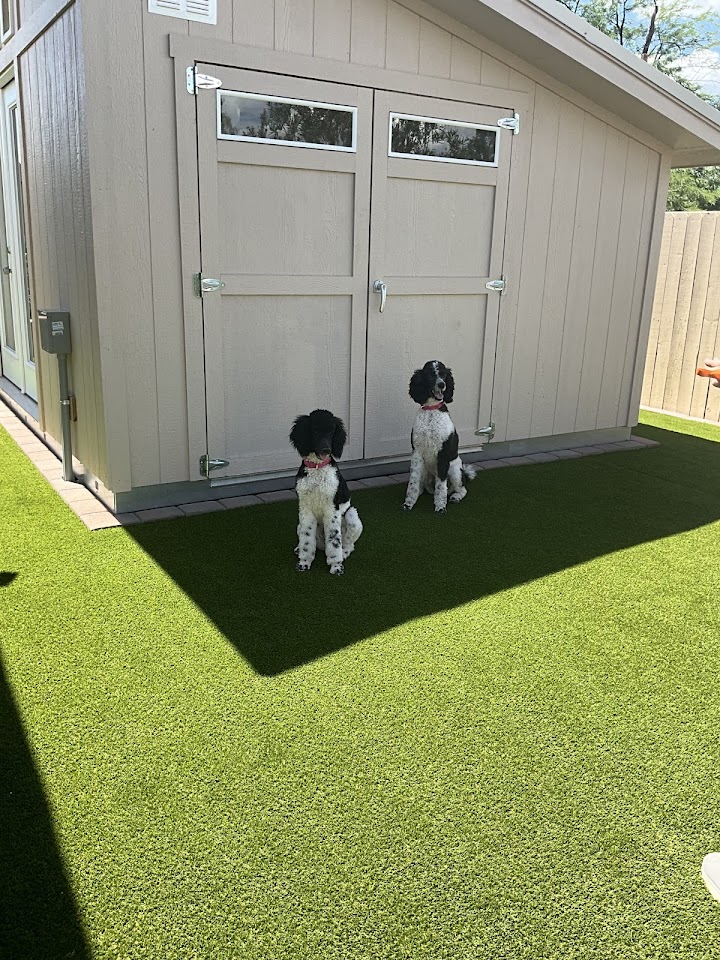 Southern Turf Co. project